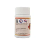 Dhootpapeshwar Mahasudarshan Ghana - Image 2