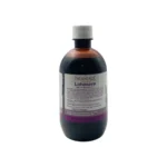 Patanjali Lohasav - Image 2
