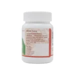 Santulan Ayurveda Calcisan Tablet - Image 3
