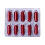 PILOGLOB CAP - 10 CAP - Image 2