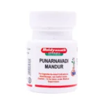 Baidyananth Punarnavadi Mandur
