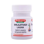 SHILAJITWADI LAUHA - BAIDYANATH - 40 TAB