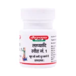 Baidyananth Tapyadi Loha No.1 - Image 2
