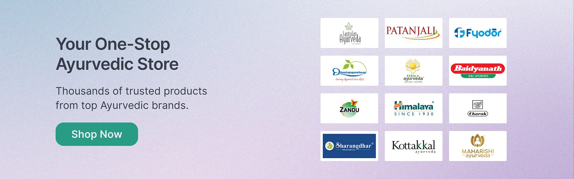 Fyodor Desktop Header - 042309